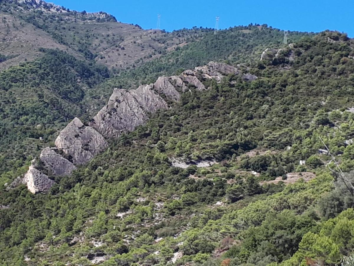 Il Casotto Del Nonno Apartment Ventimiglia Luaran gambar