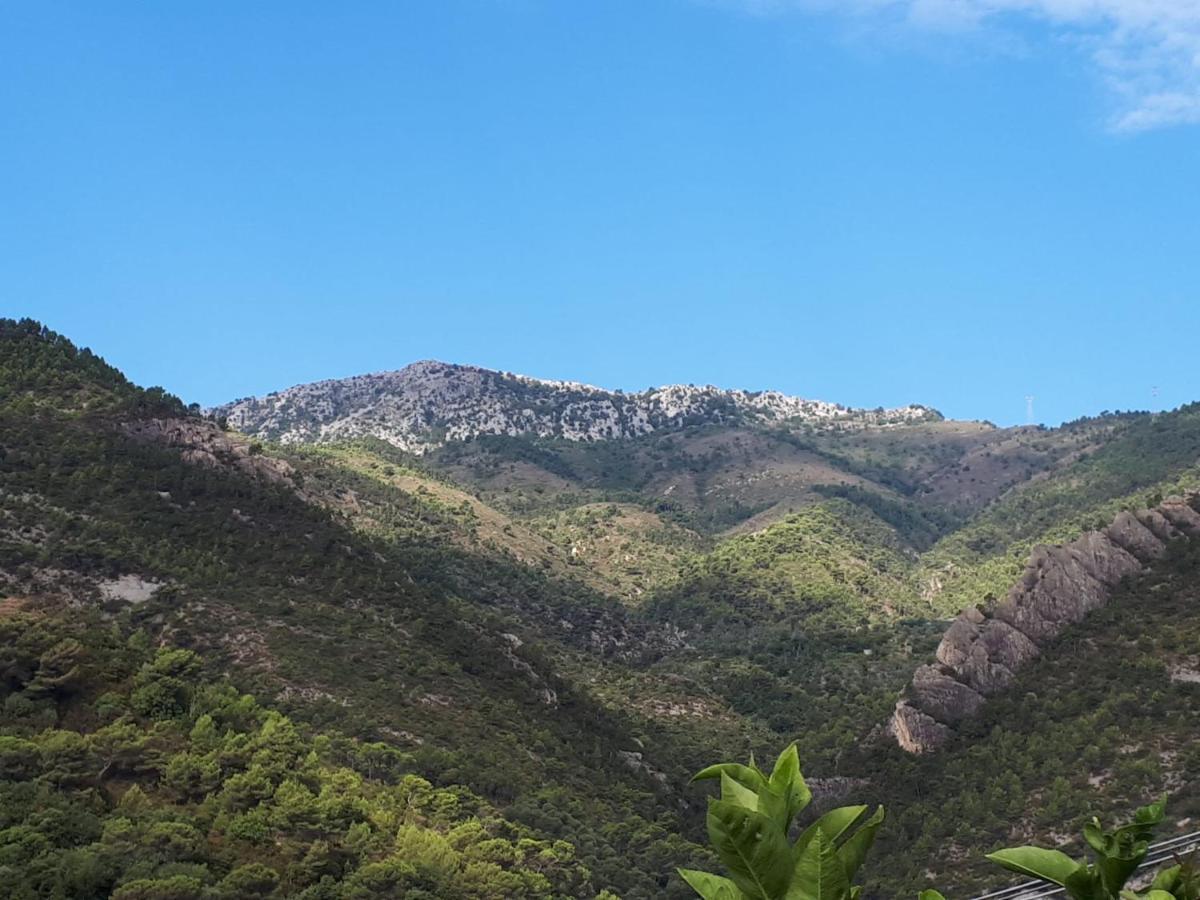 Il Casotto Del Nonno Apartment Ventimiglia Luaran gambar